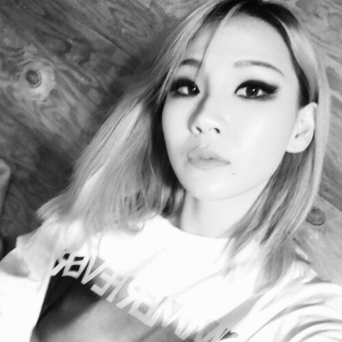 The Life of Lee Chaerin - Asianfanfics